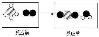 图片_x0020_247492333