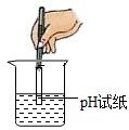 图片_x0020_100001
