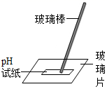 图片_x0020_100004