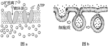 图片_x0020_100021