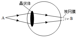 图片_x0020_327485572