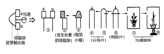 图片_x0020_100028