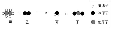 图片_x0020_217716694