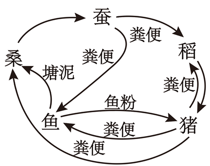 图片_x0020_100043