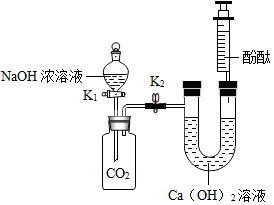 图片_x0020_100026