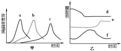 图片_x0020_100019