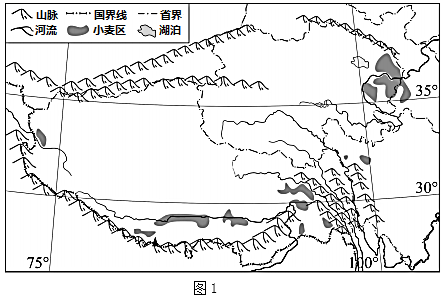 图片_x0020_100008