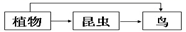 图片_x0020_100037