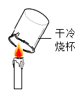 图片_x0020_1561499151