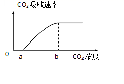 图片_x0020_100033