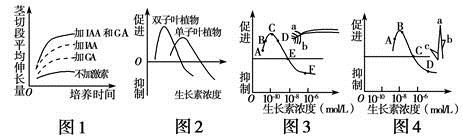 图片_x0020_100005