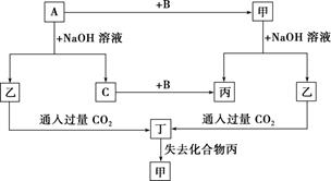 图片_x0020_571956093