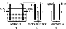 图片_x0020_100017