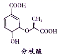 图片_x0020_100021
