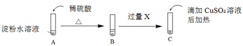 图片_x0020_100065