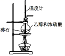 图片_x0020_100036