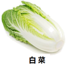 图片_x0020_100019