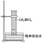 图片_x0020_100036