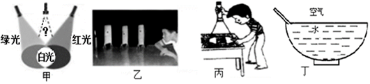 图片_x0020_1999486616