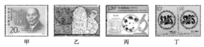 图片_x0020_100001