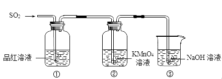 图片_x0020_2094656606