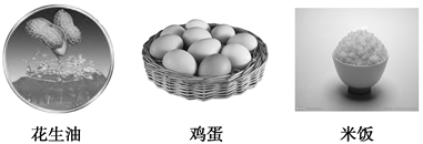 图片_x0020_100018