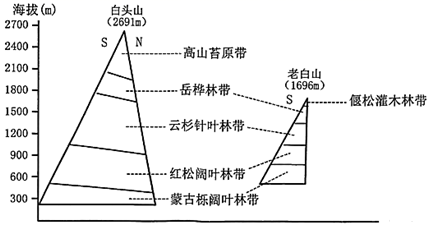 图片_x0020_100008