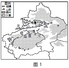 图片_x0020_202025264