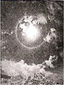 图片_x0020_100003
