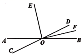 图片_x0020_100013