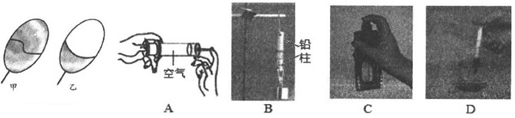图片_x0020_371