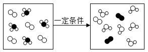 图片_x0020_1973375596