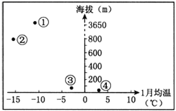 图片_x0020_100007