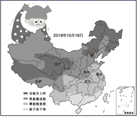 图片_x0020_100006