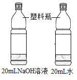 图片_x0020_100003