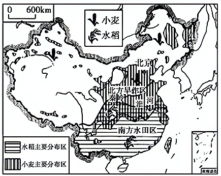 图片_x0020_1170370960