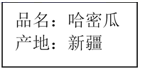 图片_x0020_100005