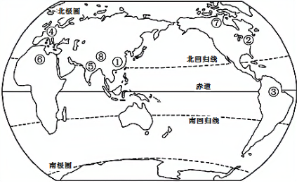 图片_x0020_100023