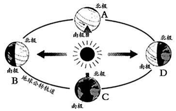 图片_x0020_100015
