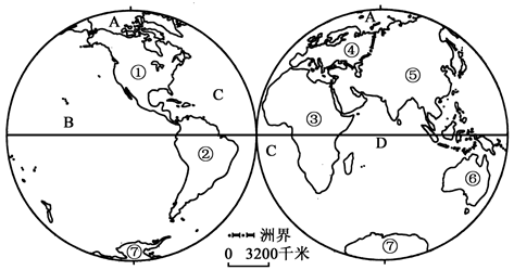图片_x0020_100012