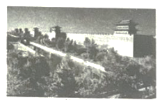 图片_x0020_100001