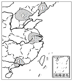 图片_x0020_100009
