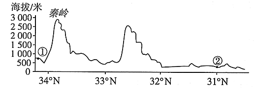 图片_x0020_1962537407