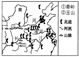 图片_x0020_100006