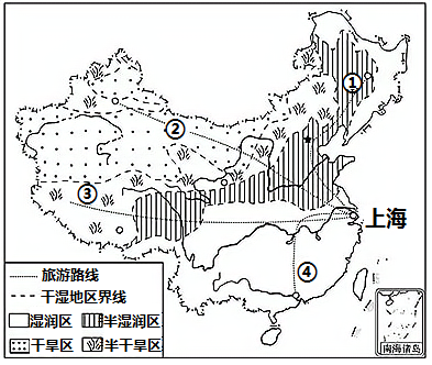 图片_x0020_1573590309