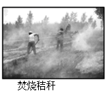 图片_x0020_100010