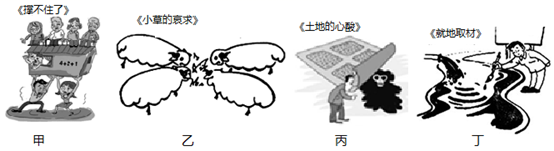 图片_x0020_1224778294