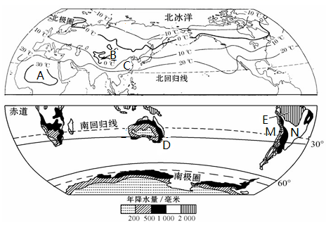 图片_x0020_100025