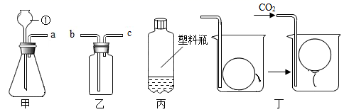图片_x0020_2138788136