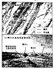 图片_x0020_100015